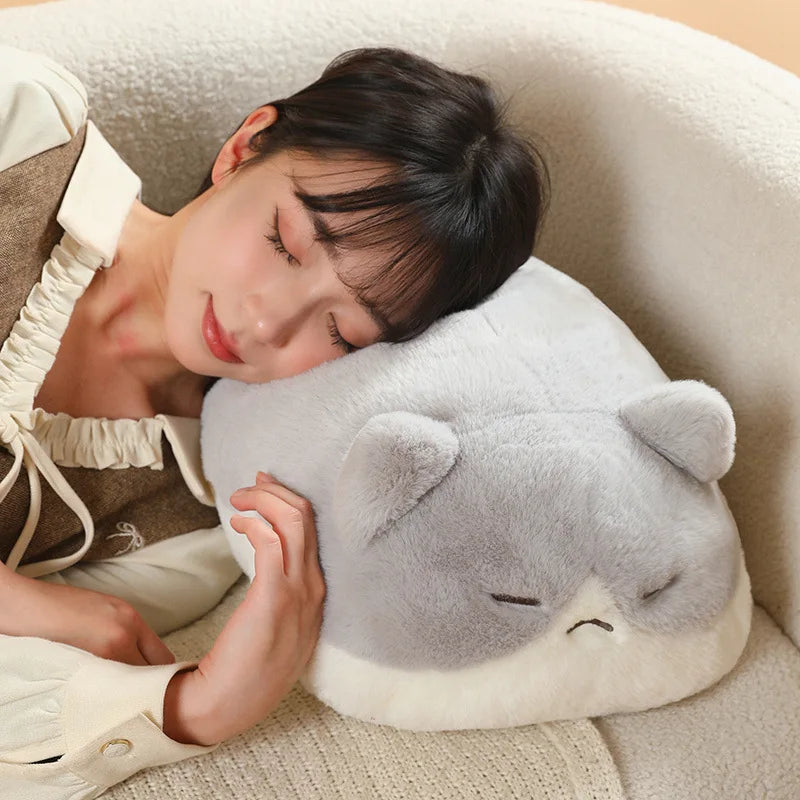 Floppy Cat Cushion