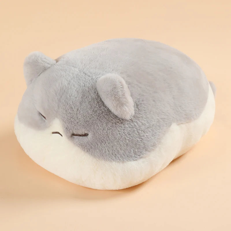 Floppy Cat Cushion